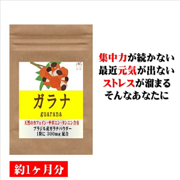 ガラナ 30粒 約1ヶ月分 カフェイン ダイエット サプリ サプリメント 美容サプリ 美容サプリメント タンニン サポニン 男性 女性 通販 健康 プレゼント 梅雨