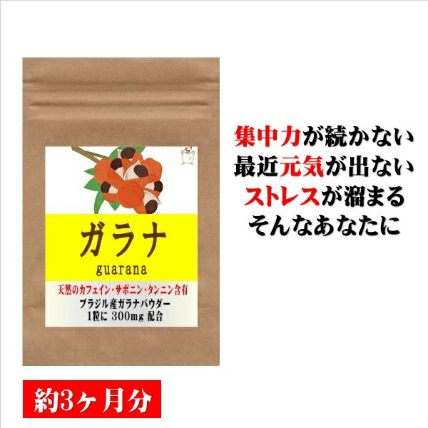 【最大2000円OFFクーポン配布中!!】ガラナ 90粒 約3ヶ月分 カフェイン ダイエット サプリ サプリメント 美容サプリ …