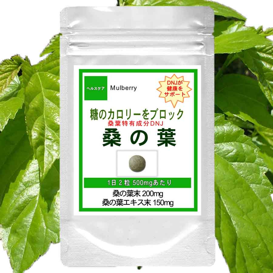 桑の葉 お徳用540粒(約9ヶ月分) 梅雨 七夕 お中元 夏