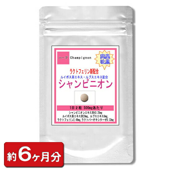 楽天冬虫夏草 サプリ ギャバ太郎SHOP【最大2000円OFFクーポン配布中!!】シャンピニオンエキス お徳用360粒 （約6ヶ月分）エチケットサプリメント シャンピニオン サプリ（美容 天然 マッシュルーム ルイボス茶エキス 乳酸菌 オリゴ糖食品） リンゴ酸 通販 健康 プレゼント 梅雨