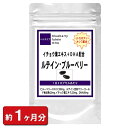【ハロウィンセール ポイント10倍】ルテイン+ブルーベリー60粒(約1ヶ月分) (目の健康 ルテイン ブルーベリー DHA カシス イチョウ葉エキス βカロテン 美容 健康食品 サプリ)【お試し サプリ】【ポイント消化】【送料無料】