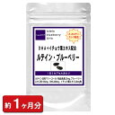 楽天冬虫夏草 サプリ ギャバ太郎SHOP【全商品15％OFFクーポン配布中!!】ルテイン＋ブルーベリー 60粒（約1ヶ月分） 【サプリメント サプリ 目 眼 目の健康 ルテイン ブルーベリー DHA カシス イチョウ葉エキス βカロテン食品 美容メント】 通販 健康 プレゼント ゴールデンウィーク