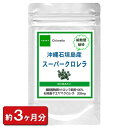 沖縄石垣島産スーパークロレラお徳用540粒(約3ヶ月分) 通販 健康 プレゼント 新生活 春