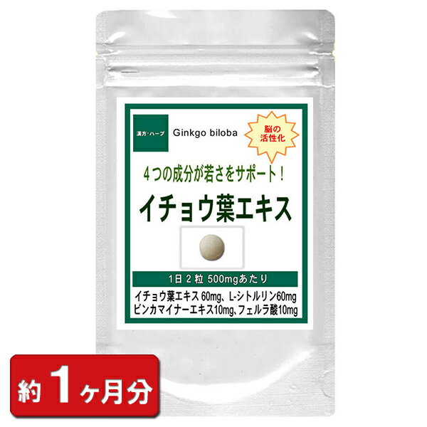 イチョウ葉エキス 60粒(約1ヶ月分) (美容 天然食品 サプリメント 楽天) 通販 健康 プレゼント ゴールデンウィーク