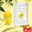 【月見草 サプリメント】 γリノレン酸含有 月見草オイル お徳用180粒(約6ヶ月分)メント ガンマリノレン酸 …