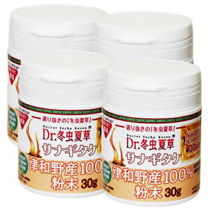 冬虫夏草 サプリメント 国内産 津和野産 サナギタケ 冬虫夏草 粉末 お徳用 4本セット (30g×4本) 産官学連携共同研究による特許製法 パウダー 粉 冬虫夏草 サプリ とうちゅうかそう 免疫力 免活 通販 新生活 バレンタイン