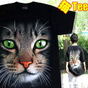 【S】【M】【L】【XL】メンズ 迫力猫Tシャツ【キャッツアイ】半袖 黒 綿 100% キジトラ MR BIG ネコ好き プリントTシャツ 猫Tシャツ おもしろ 面白Tシャツ アニマル柄 猫ねこ迫力プリントシリーズ にゃんこ CAT T-shirt