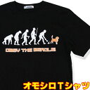 【S】【M】【L】【XL】おもしろTシャツ お散歩進化論 ？【半袖】黒小型犬 ペット アニマルTシャツ プリントtシャツ メンズ レディース 男性 女性 ドッグ DOG