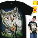 オモシロ 猫Tシャツ・子猫と蝶々黒 レディース/SUPER GLOW 猫 ねこ ネコ/イラストTシャツ プリントTシャツ 面白Tシャツ おもしろTシャツ アニマルTシャツ〜猫ねこ迫力プリントシリーズ〜猫tシャツ ネコtシャツ ねこtシャツ にゃんこ