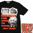 おもしろTシャツ 【S】【M】【L】【XL】オモシロTシャツ・アインシュタイン名言！？【半袖】黒想像力は知識より大事だ、アインシュタイン 面白Tシャツ スラング 英語 おもしろTシャツ パロディーTシャツ 発明 煩悩 イメージ メンズ レディース 男性 女性