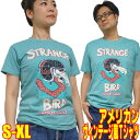 【S】【M】【L】【XL】アメカジTシャツ ストレンジバード【半袖】新品 アメリカン レトロ POPアート メンズ レディース ダチョウ 動物 鳥 アメフト ノスタルジック ビンテージ アニマルTシャツ おもしろ tシャツ 面白 オモシロ 昭和レトロ ユニセックス アナトミー