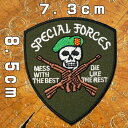 刺繍 アイロン ワッペン【SPECIAL FORCES スペシャルフォース】スカル 軍物 ミリタリー グリーンベレー 特殊部隊 陸軍 緑 糊付き アイロンワッペン アップリケ パッチ アメリカ陸軍 ドクロ