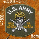 刺繍アイロンワッペン アップリケ パッチ【U S ARMYスカル】モスグリーン 軍物 米軍 ミリタリー MA-1 アメリカ陸軍 アーミー ドクロ スカル 部隊章 サバゲー ワッペン アイロン 糊付き wappen patch