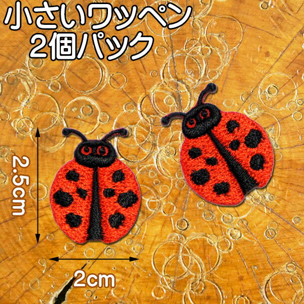 小さい 刺繍 アイロンワッペン アップリケ【てんとう虫】2個セット/テントウムシ アイロン 糊付き 手芸..