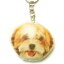 犬 キーホルダー 70 ラサ・アプソ 【犬 ドッグ プリント キーリング 雑貨 グッズ 通販】【動物祭り】 550円