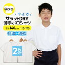 サラッとDRY【2枚組】 ドライメッシュポロシャツ 白 半袖 制服 小学校 小学生 スクール ポロ 吸汗速乾 男の子 女の子 ポリエステル100％ スクールポロシャツ 白 キッズ 累計販売数11万枚 さらさらDRY 夏用 ポロシャツ 猛暑 暑がりさんにおすすめ 涼しいポロシャツ