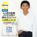 2点15％OFFクーポン【男の子用2枚組】 しっかりやわらか生地 【厚手】 ポロシャツ キッズ 白 小学生 小学 制服 学生服 長袖 シャツ スクールポロシャツ 通学用 小学生 学校用 小学生用 学校用 入学 通販 買い替え スクール 高品質 安い 受験用