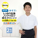 【男の子専用】【2枚組⇒1枚880円~】 しっかりやわらか生地 ポロシャツ 白 キッズ 小学生 小学 制服 学生服 半袖 シャツ スクールポロシャツ 通学用 小学生 学校用 小学生用 学校用 入学 通販 買い替え スクール 高品質 安い