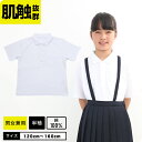 楽天学生服・学校用品の専門店ガッコスオーガニックコットン ポロシャツ 白 半袖 制服 小学校 小学生 スクール ポロ 男の子 女の子 綿100％ コットン キッズ ポロシャツ キッズ 白 制服