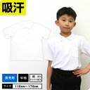 【男の子専用】ポロシャツ 白 吸汗 