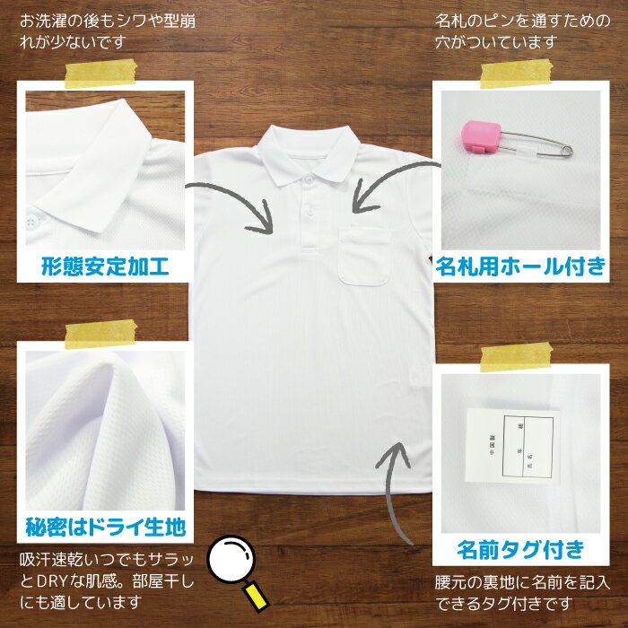 Ⱦµ �ݥ������ �ɥ饤 �ݥꥨ���ƥ� ����ä� ���ä��� �۴�®�� �˽����� ̾���ơ����� ���� ��������ݥ������ ������ ���ع� ����