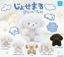 じょせまる ぬいぐるみ 全5種セット【フルコンプリート/二次予約2025年08月発売予定】