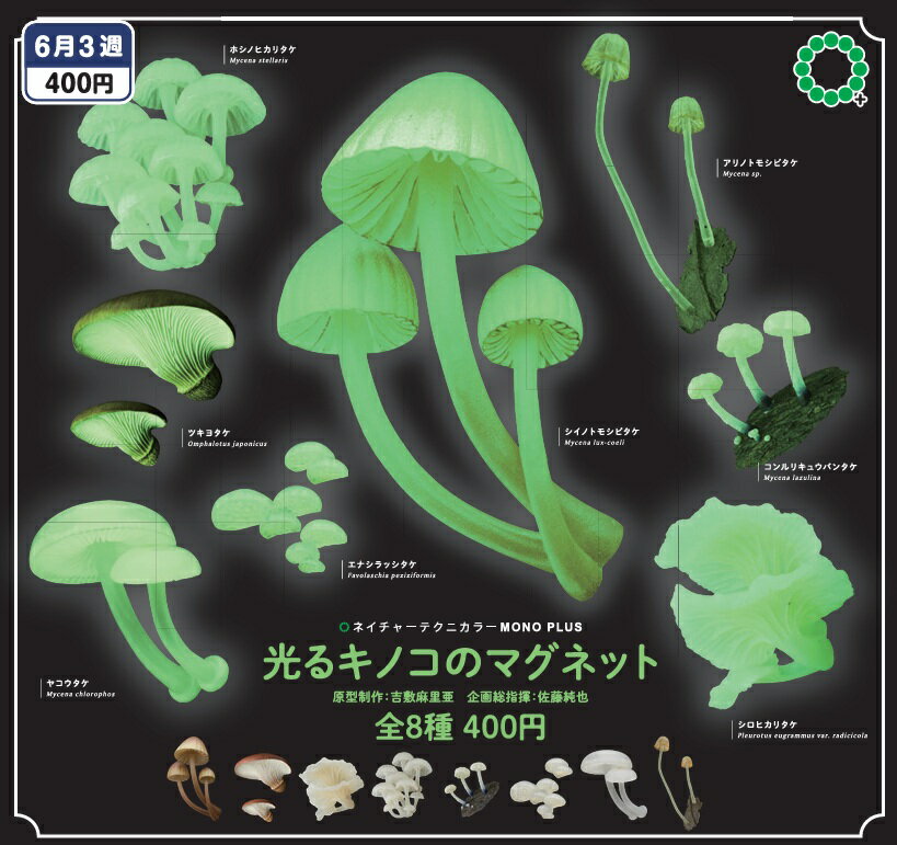 樂天商城 - NTC MONO＋光るキノコのマグネット 全8種セット【在庫品】