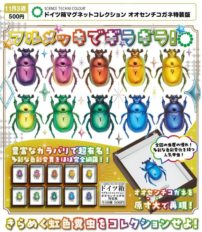 楽天市場】ドイツ箱 ミニの通販
