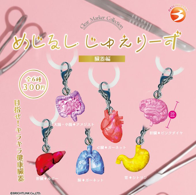 めじるしじゅえりーず 臓器編 全6種セット