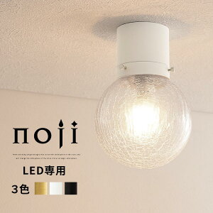 ƥꥢ饤 ŷ ľդ LEDŵ Ҥ 󥰥饤  ȥ ȥ ϭ   E17 󥰾  饹 ȥ /ۥ磻/֥å noji Υ LIT000099