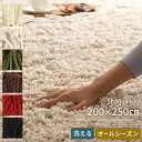 【ポイント5倍 10/26迄】 カーペット ラグ 長方形 200×250 cm 洗える シャギーマット ホットカーペット対応 マット リビング モダン フロアマット ブラック 黒 ブラウン 子供部屋 床暖房対応 春夏秋冬 おしゃれ ふかふか ふわふわ ラグマット CPT000052