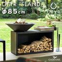 OFYR プロ用鉄板グリル 85cm 調理台 カッティングボード付 アイランド ブラック オフィア OIB-85-TW 円形グリル バーベキュー キッチン 大型...