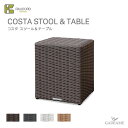 ケイラウコード【送料無料】K.RAUCORD ケイ.ラウコードCOSTA STOOL TABLEコスタ スツール テーブルガラストップ別売ガーデンファニチャー ラタンファニチャー 一人掛けチェア ガーデンチェア 屋外家具 人工ラタン ドイツ品質