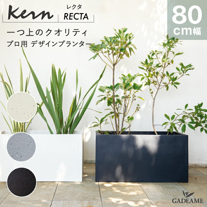 楽天市場】プランター 大型 長方形 黒の通販 楽天市場】プランター 大型 長方形 黒の通販