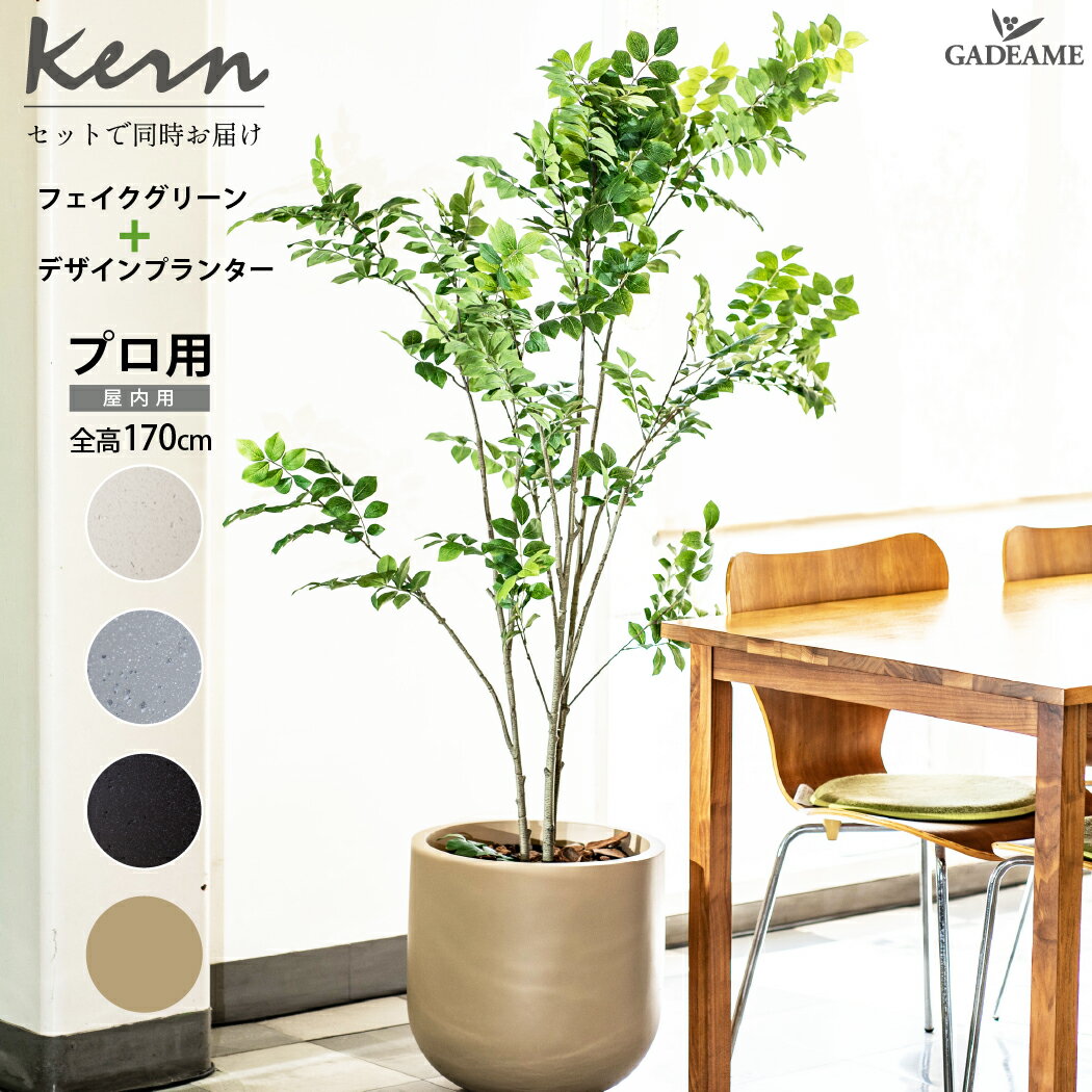 【NEW!】トネリコ フェイクグリーン planeco H170cm KERN FOLIA セット 