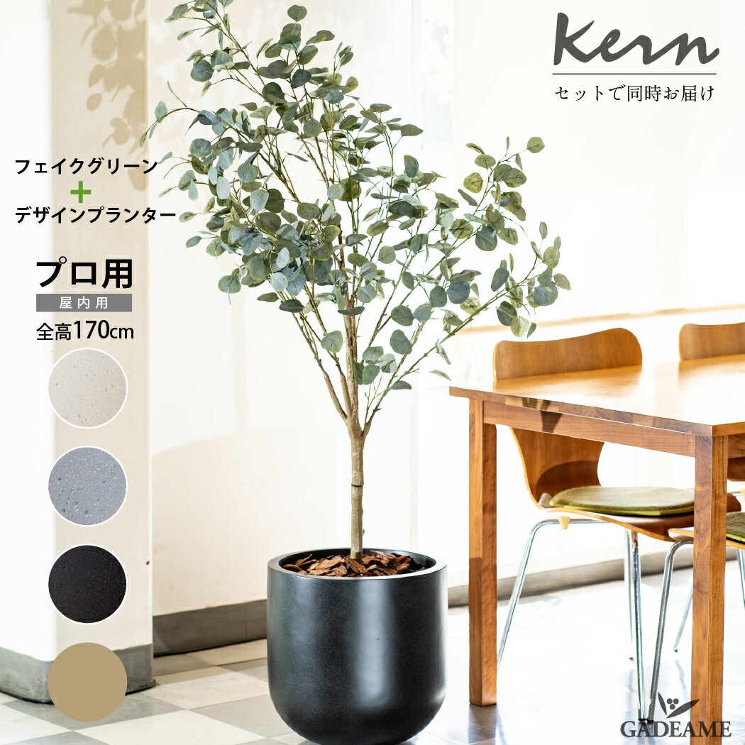 【NEW!】ユーカリ フェイクグリーン planeco H170cm KERN FOLIA セット 同時配送 38cmシリンダータイプ ファイバーグラス GFRP 高品質 軽量 耐候 モダンデザイン おしゃれ ガーデン カフェ 店舗 オフィス エントランス 人工観葉植物 インテリア