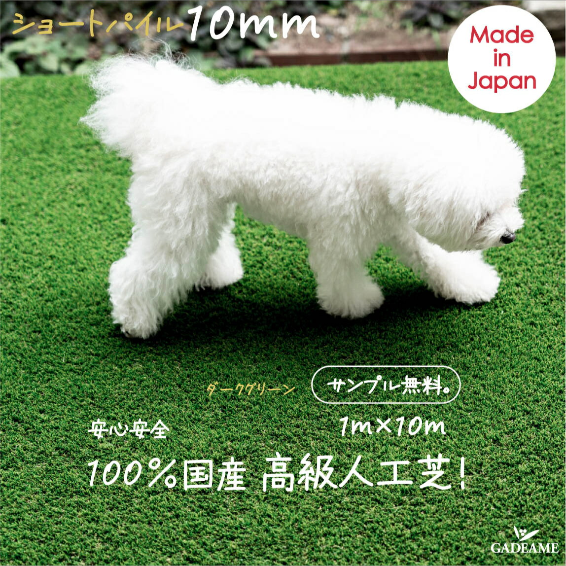 񻺿͹ 饹 ꡼󥫡10mm륿 ꡼ 񻺿͹  ϼǤޤ ʪ˶ᤤ  ͹  1m10m10ʿơۼ ڥå ͹ ͹ к ɻ ͹ǥޥå ̵