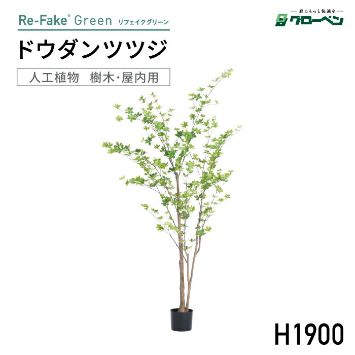 Rakuten - 人工植物 グローベン リフェイクグリーン ドウダンツツジ H1900 屋内用 フェイクグリーン 人工樹木 室内用 ハンドメイド おしゃれ インテリア リアル オフィス ディスプレイ 装飾 屋内 室内 鉢別売 メンテナンスフリー