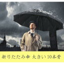 折りたたみ傘 メンズ レディース 折り畳み傘 大きいサイズ 撥水 風に強い 丈夫 晴雨 ビジネス 中学生 高校生 大学生 10本骨