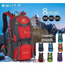 バックパック ザック 花見 登山リュック 大容量 旅行 リュックサック 防災 40L 50L 60L 遠足 軽量 撥水 アウトドア 男女兼用 ハイキング トレッキング 防災 旅行