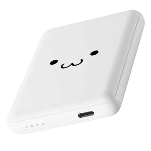 쥳ХХåƥ꡼15W5000MAHTYPE-C1ݡϾ̡IPHONE15PIXELOPPOбۤEC-...