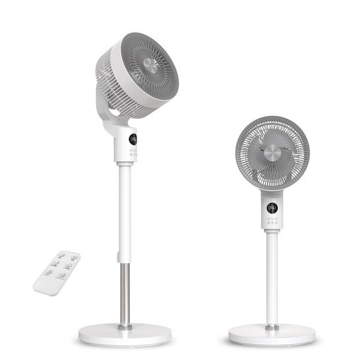 졼DC⡼2025׿ŲԽк6ʳĴ12֥ޡդŲפ360ư...