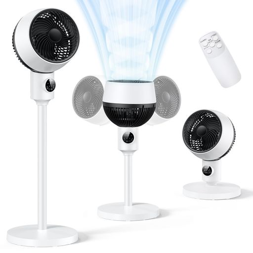 졼360ټ󿶤2025&š1¿ŲDC⡼ϥӥDC̺󿶤岼Ĵ6ʳ3...