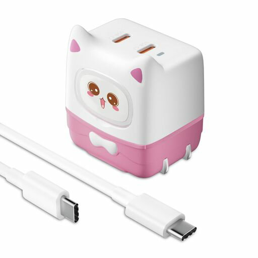 GOLDNEXT47WPDŴ2ݡTYPE-C/USB-C®Ŵⲽꥦ(GANIII)ѥCŴPPSб/PS...