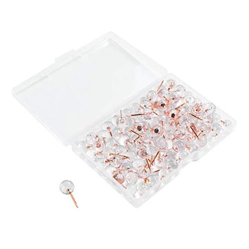 ƲԥƩԥ󥯥ɤץåԥӤ礦ݥ̿(100ܥå)