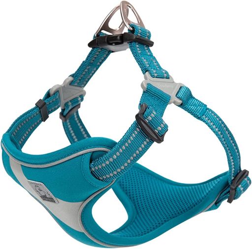 Nylon （Medium Dogs） - cocomall負担軽減犬用ハーネス犬用胴輪ドッグペット用品お出かけハーネス3M反射材料訓練ナイロン製小型犬、中型犬、大型犬に向け通気性調節可能おしゃれ(Sライトブルー)