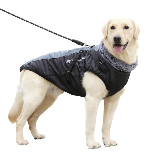 [Nyoniko(˥˥)]ꥳȥϡͥѡĤʤ緿淿٥ȥ㥱åȸɴݲȿͺդµʤ꡼ɥ󥰤...