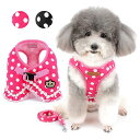 ZUNEAペット用品犬用ハーネス小型犬用かわいいドット水玉柄リードセット通気性がソフトメッシュ裏地おしゃれ犬服ベストお散歩ピンクS
