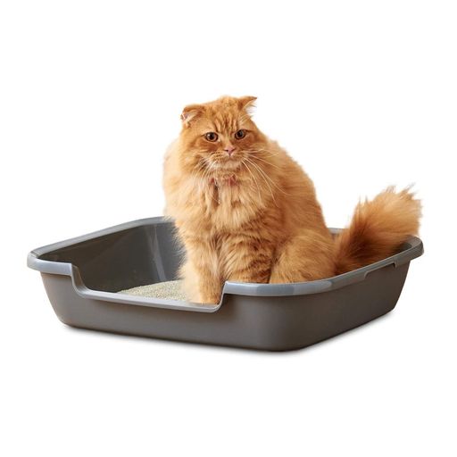 【OFT】 シニア猫トイレ Kitty and Puppy Pan L キティアンドパピーパン 子猫やシニア猫 猫 犬 用 足の短い猫ちゃんに 入り口高さ8cm 猫トイレ 一体成型