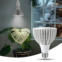植物育成ライト24W2000lmLED植物育成用ランプled太陽光フルスペクトル植物育成用水耕栽培ライト室内用ライト省エネ家庭菜園野菜工場屋内植物広角レンズ付(ホワイト電球色白色系)6000k